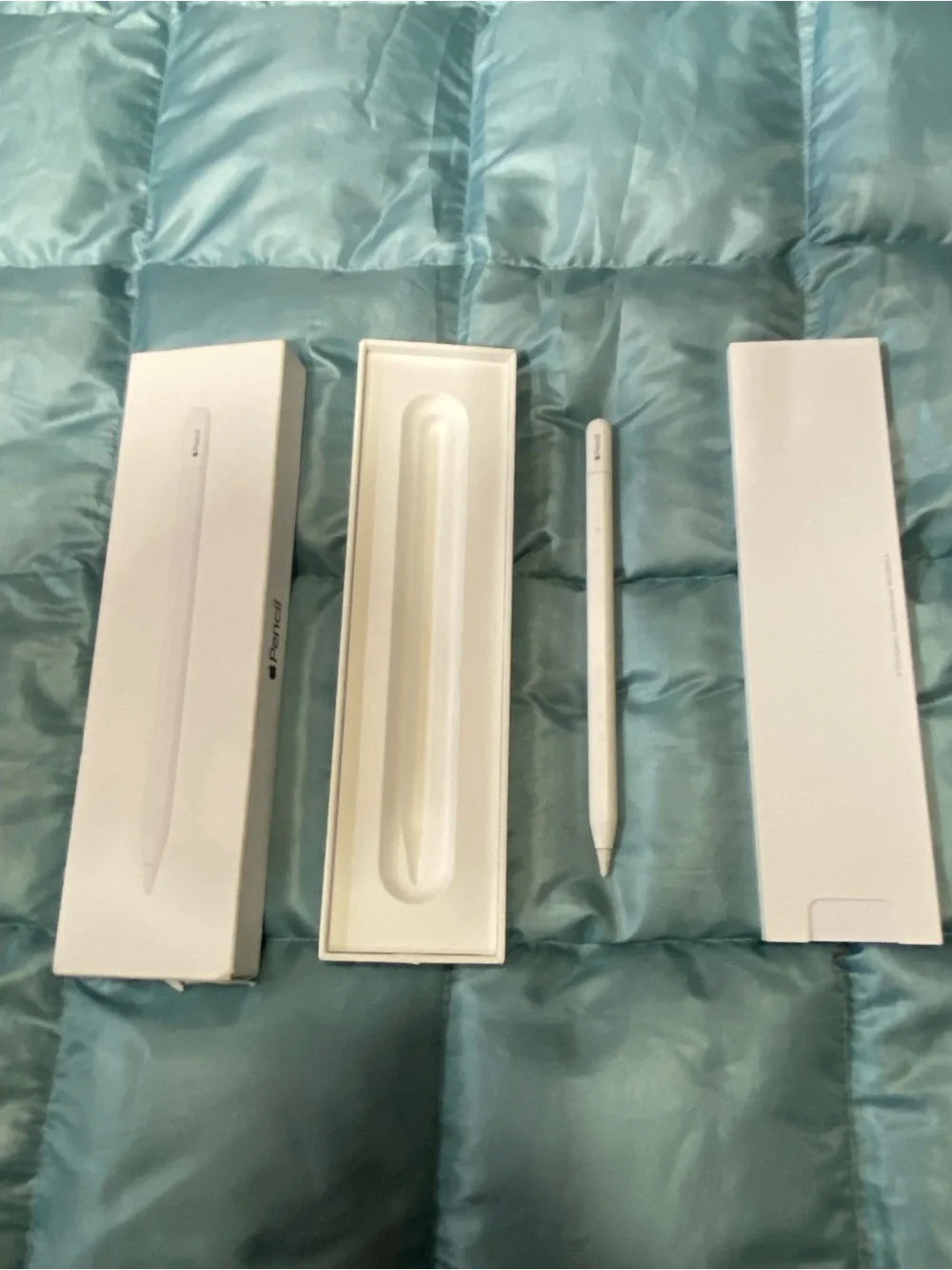 Apple Pencil (White) - USB-C Pencil Stylus in Box. Retail $100